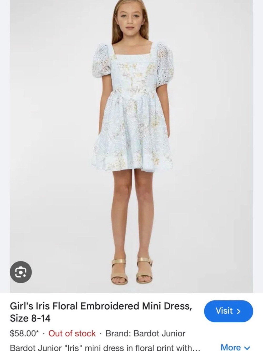 Bardot Girls' Floral Embroidered Puff-Sleeve Mini Dress in Light Blue and Gold